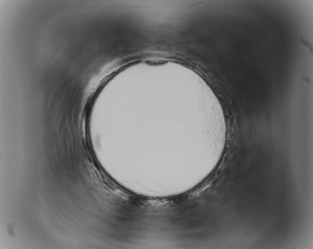 X0000103480343200810241043