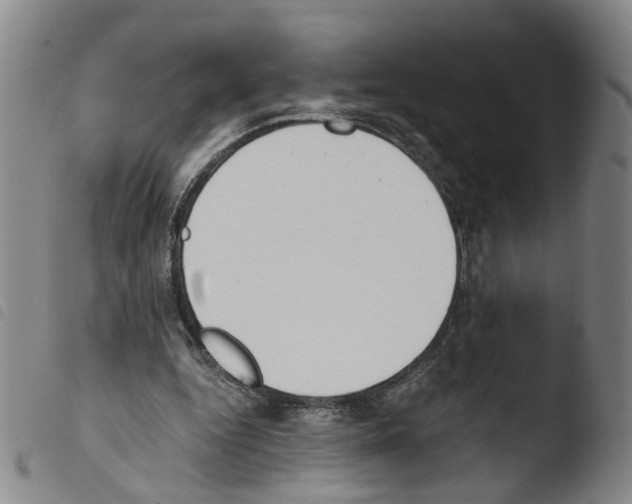 X0000103480344200810241043