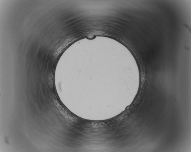 X0000103480345200810241043