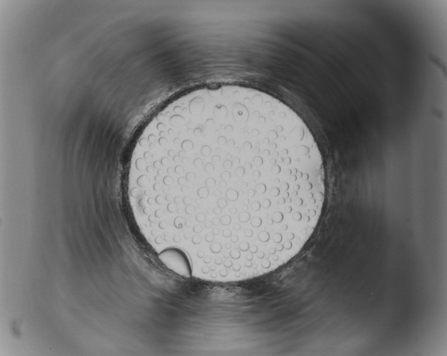 X0000103480346200810241043