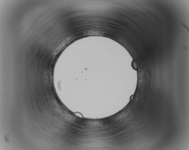 X0000103480349200810241043