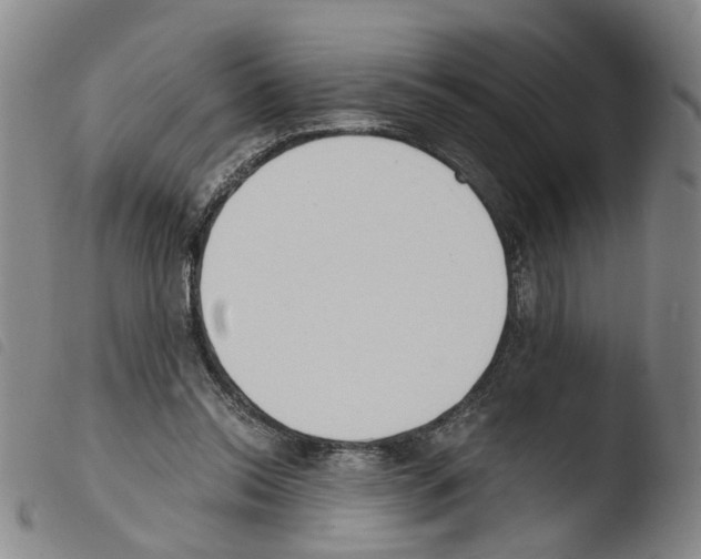 X0000103480350200810241043