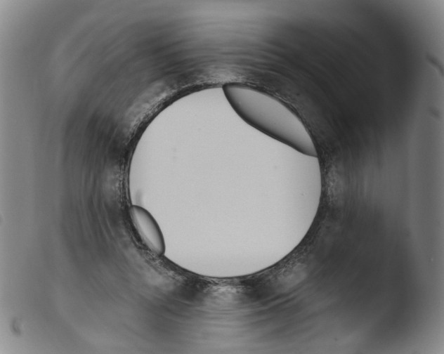 X0000103480352200810241043
