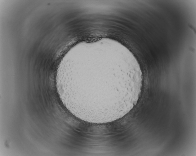 X0000103480353200810241043