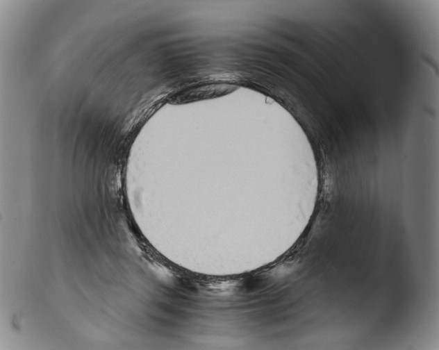 X0000103480357200810241043