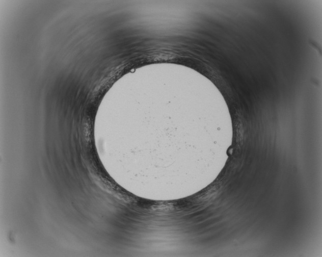 X0000103480362200810241043