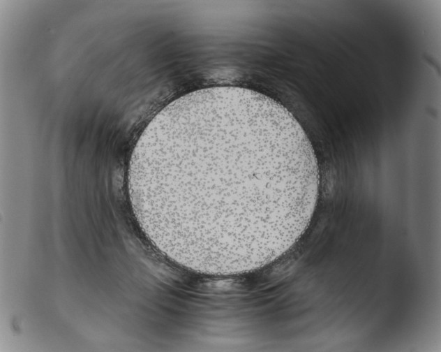 X0000103480365200810241043