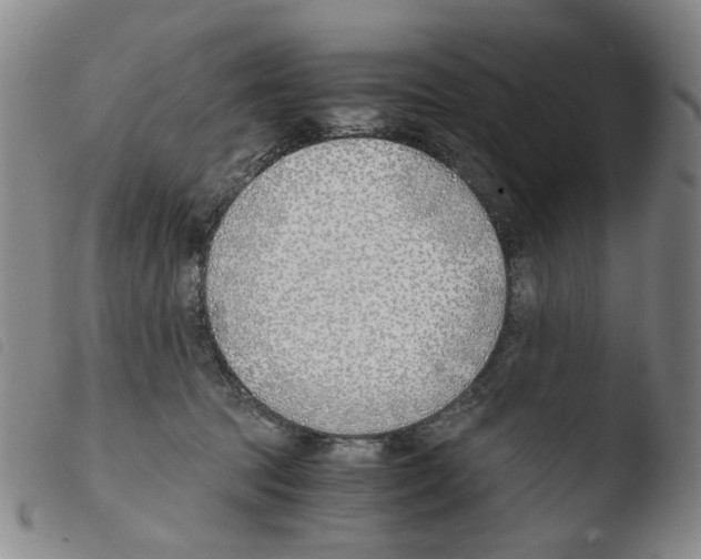 X0000103480369200810241043