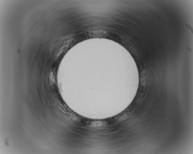 X0000103480371200810241043