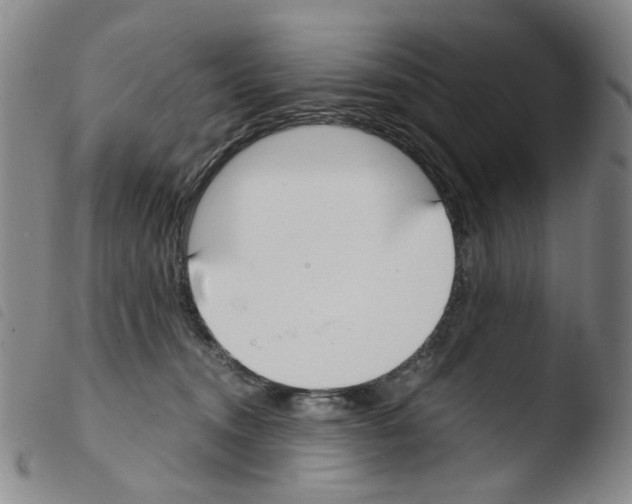 X0000103480372200810241043