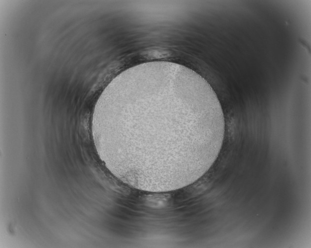 X0000103480373200810241043