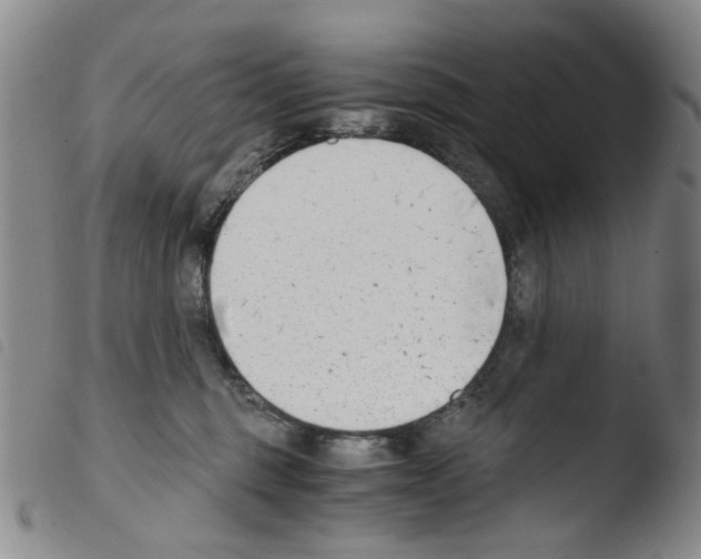 X0000103480375200810241043