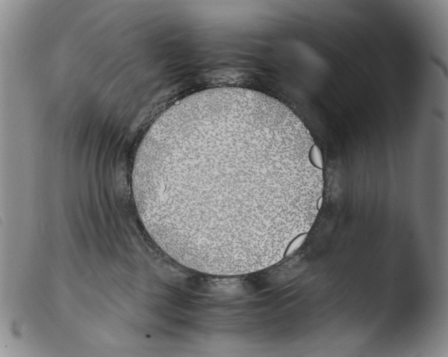 X0000103480377200810241043
