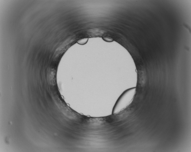 X0000103480378200810241043