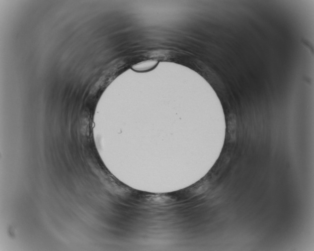 X0000103480379200810241043