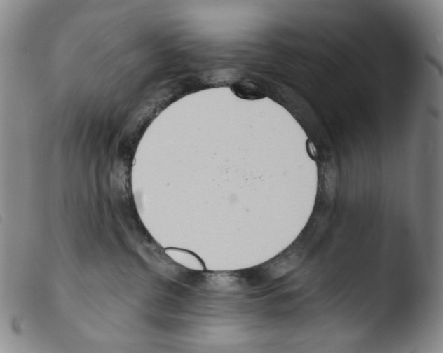 X0000103480380200810241043