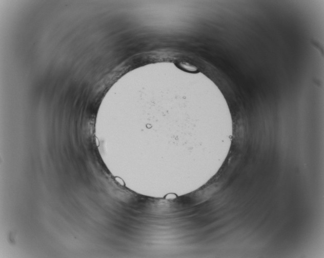 X0000103480382200810241043