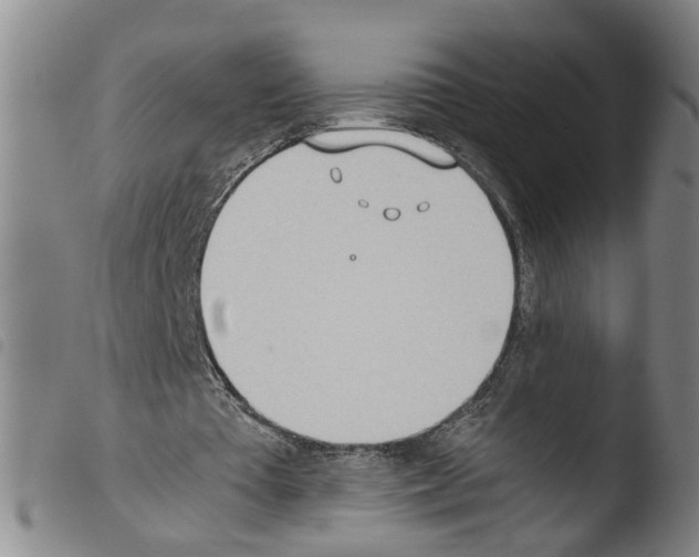 X0000103480385200810241043