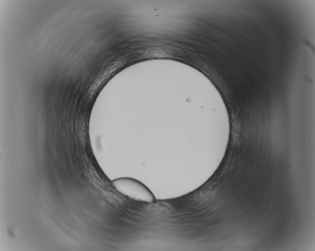 X0000103480386200810241042