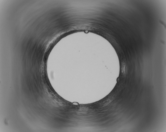 X0000103480388200810241042
