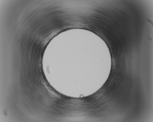 X0000103480389200810241042