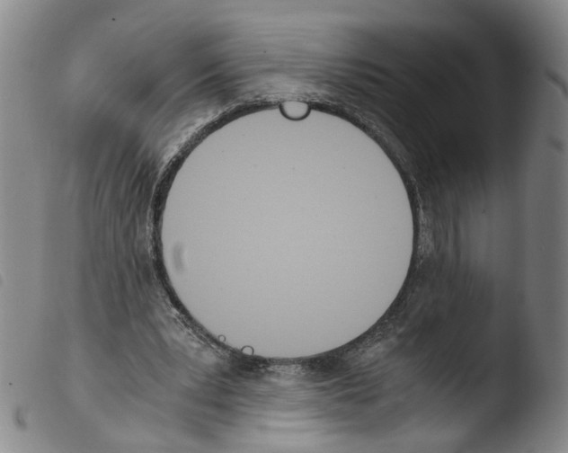 X0000103480391200810241042