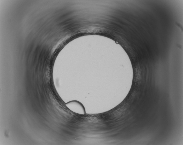 X0000103480392200810241042