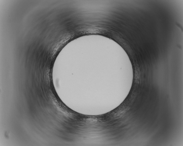 X0000103480394200810241042
