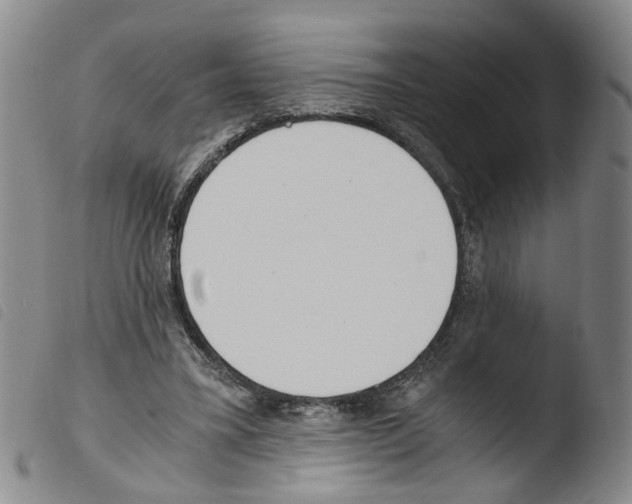 X0000103480395200810241042