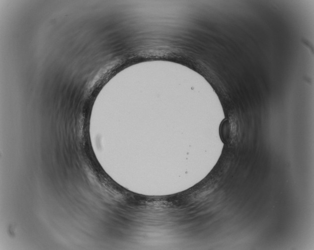 X0000103480396200810241042