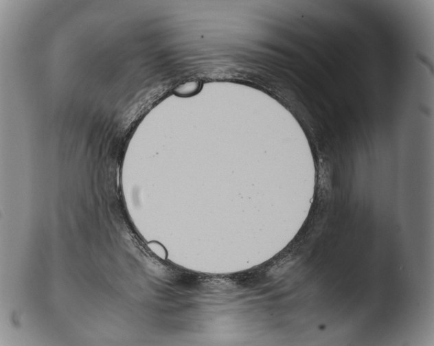 X0000103480397200810241042