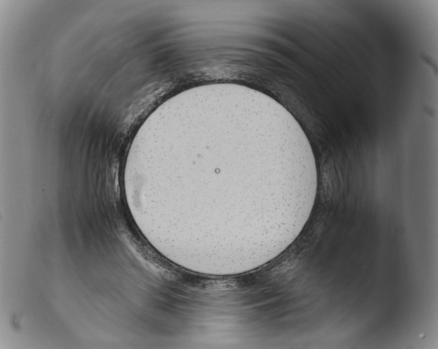 X0000103480398200810241042