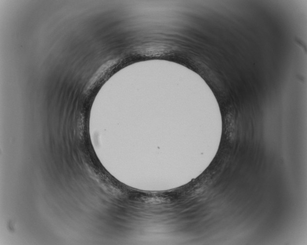 X0000103480400200810241042