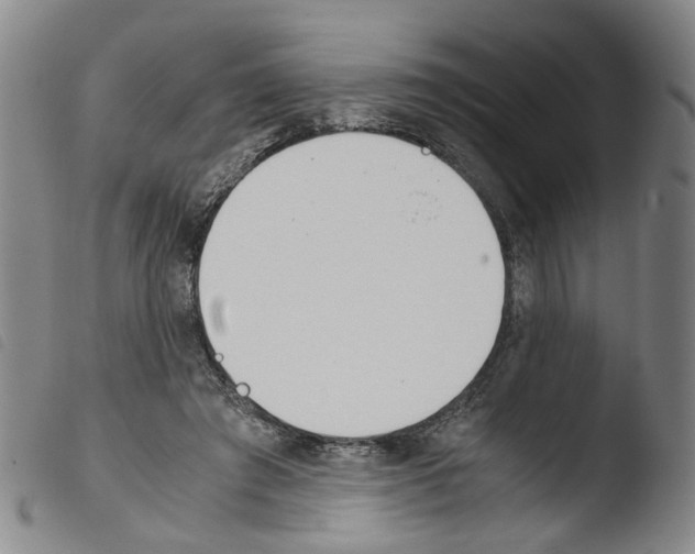 X0000103480401200810241042