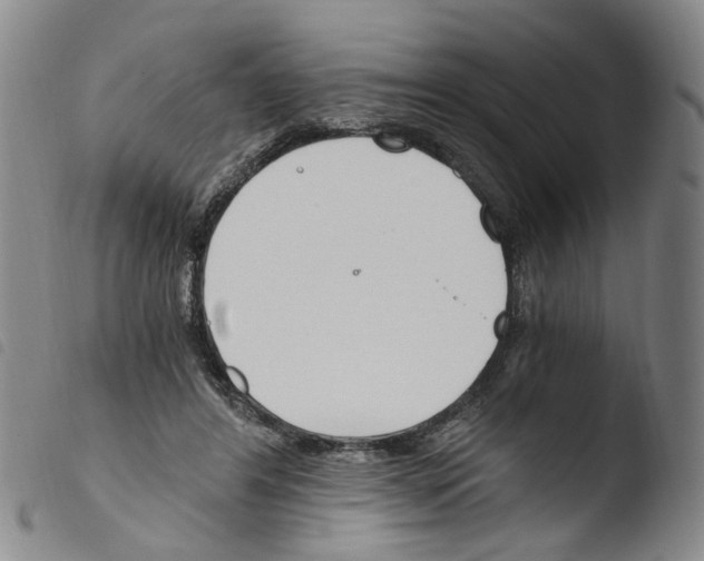 X0000103480404200810241042