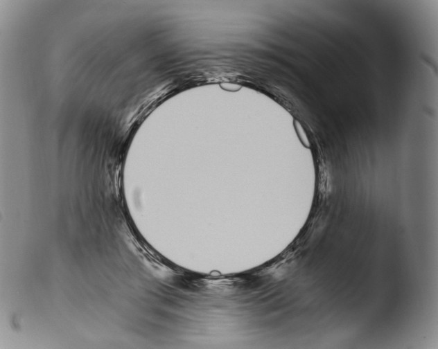 X0000103480405200810241042