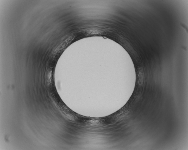 X0000103480406200810241042