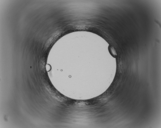 X0000103480407200810241042