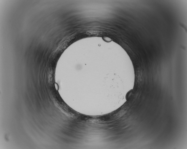 X0000103480408200810241042