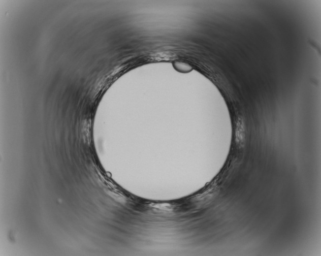 X0000103480409200810241042