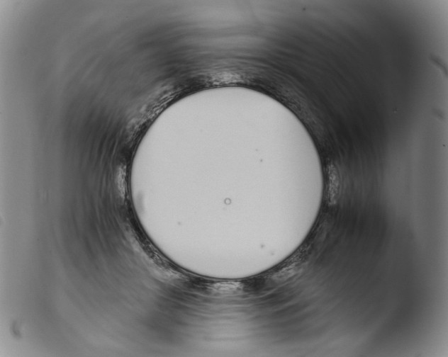 X0000103480410200810241042