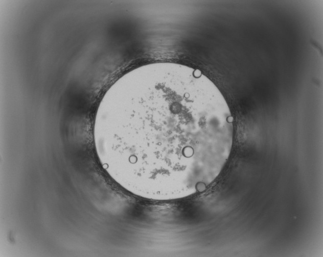 X0000103480411200810241042