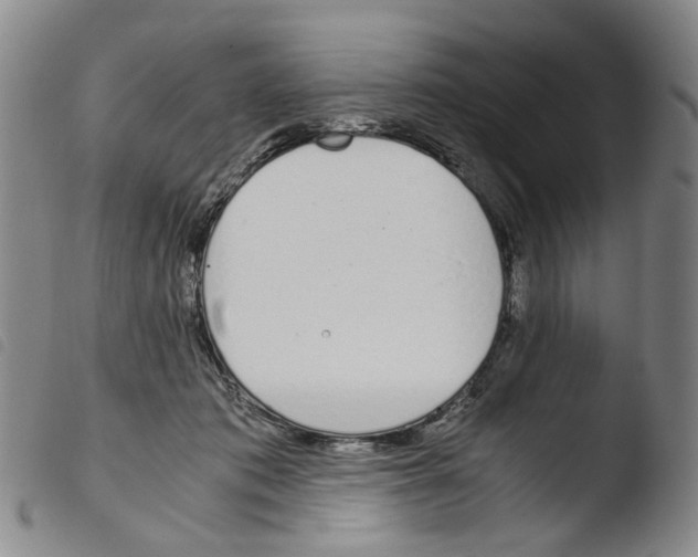 X0000103480413200810241042