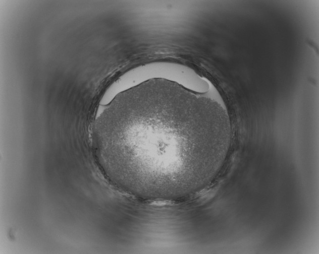 X0000103480415200810241042