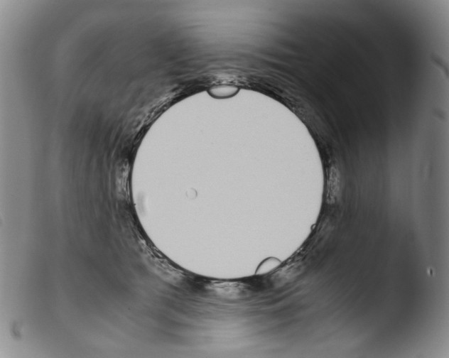 X0000103480417200810241042