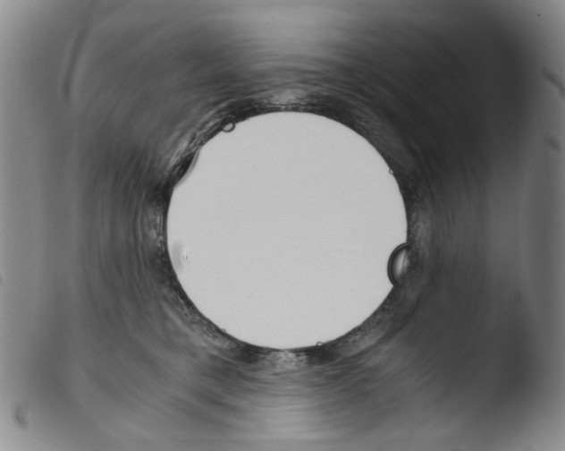 X0000103480421200810241042