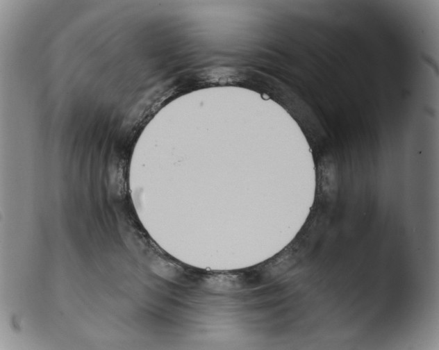 X0000103480422200810241042