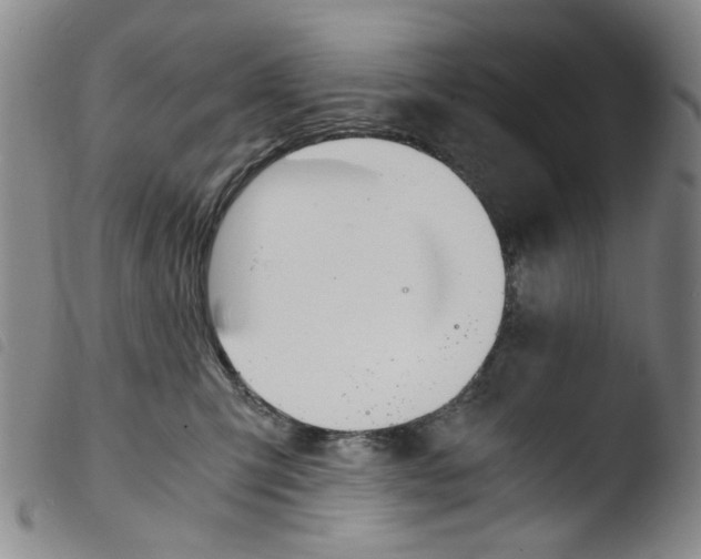 X0000103480423200810241042