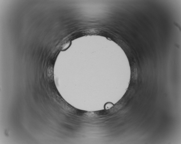 X0000103480425200810241042