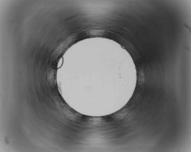 X0000103480428200810241042